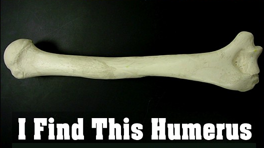 i-find-this-humerus-large.png