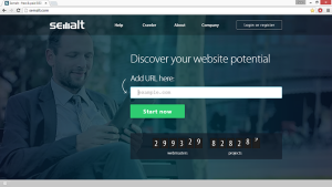 success-seo.com referral