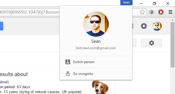 google chrome avatar menu name