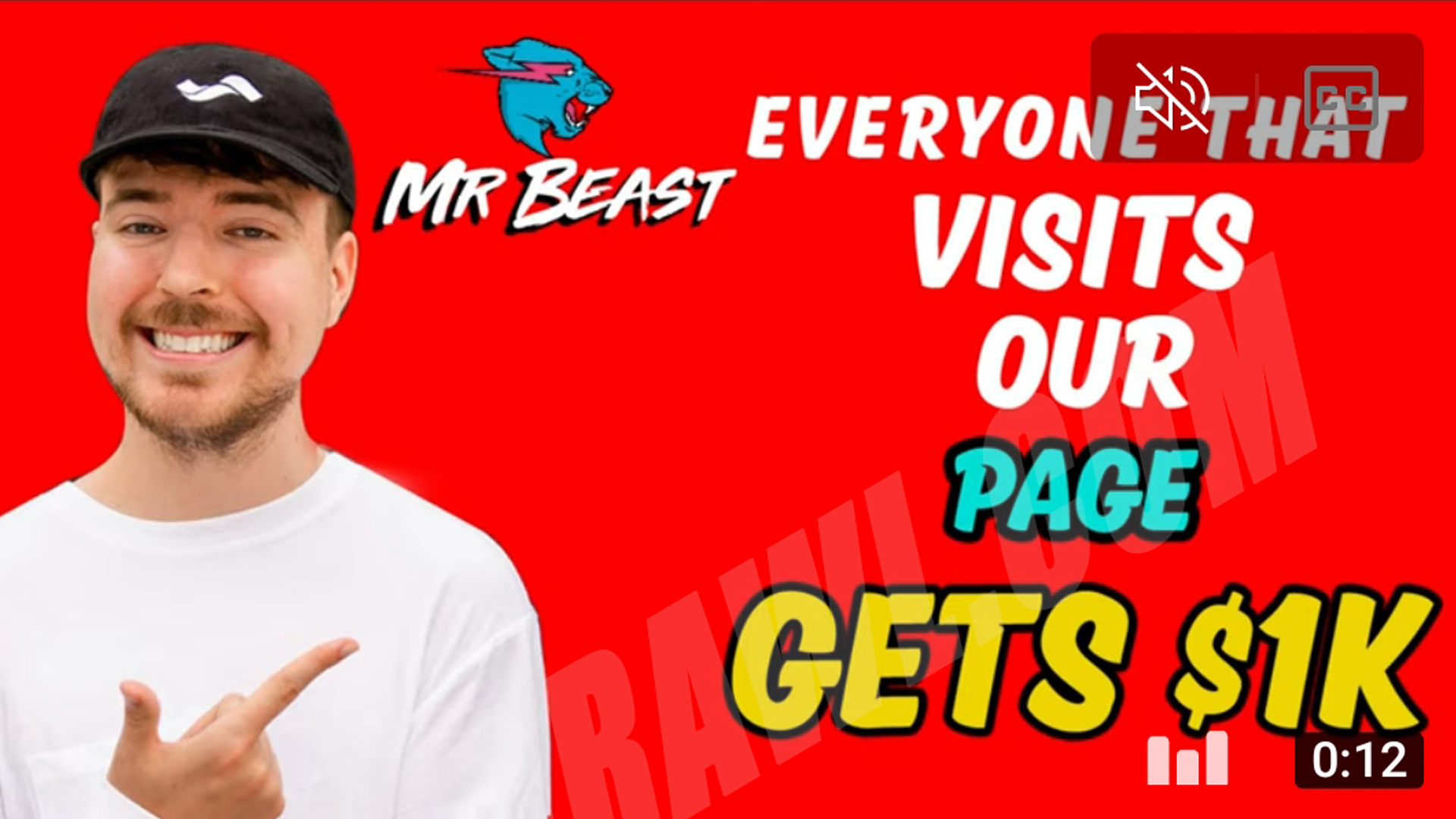 mr beast website scam