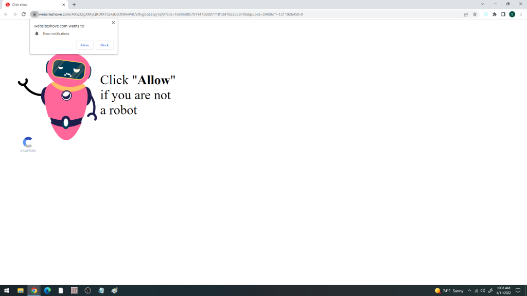 websiteshove.com virus
