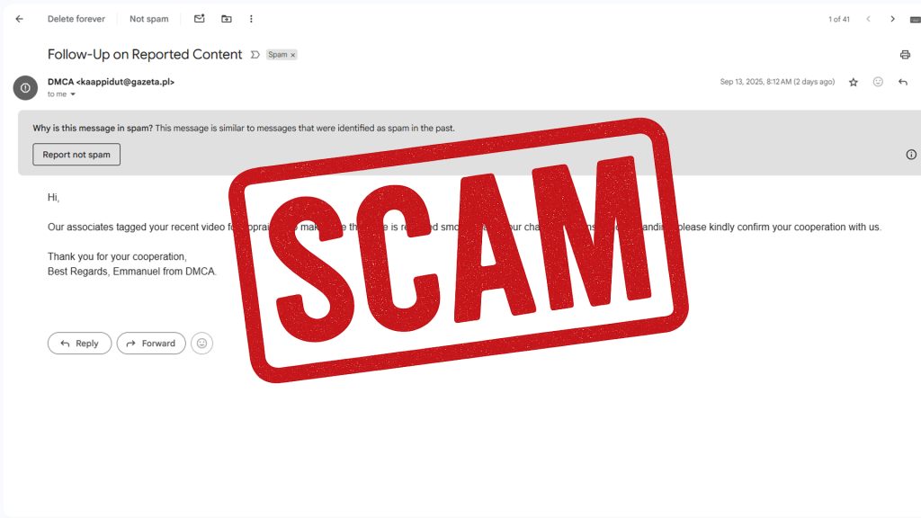 Follow-Up on Reported Content DMCA Scam Email