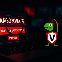 Velociraptor ransomware