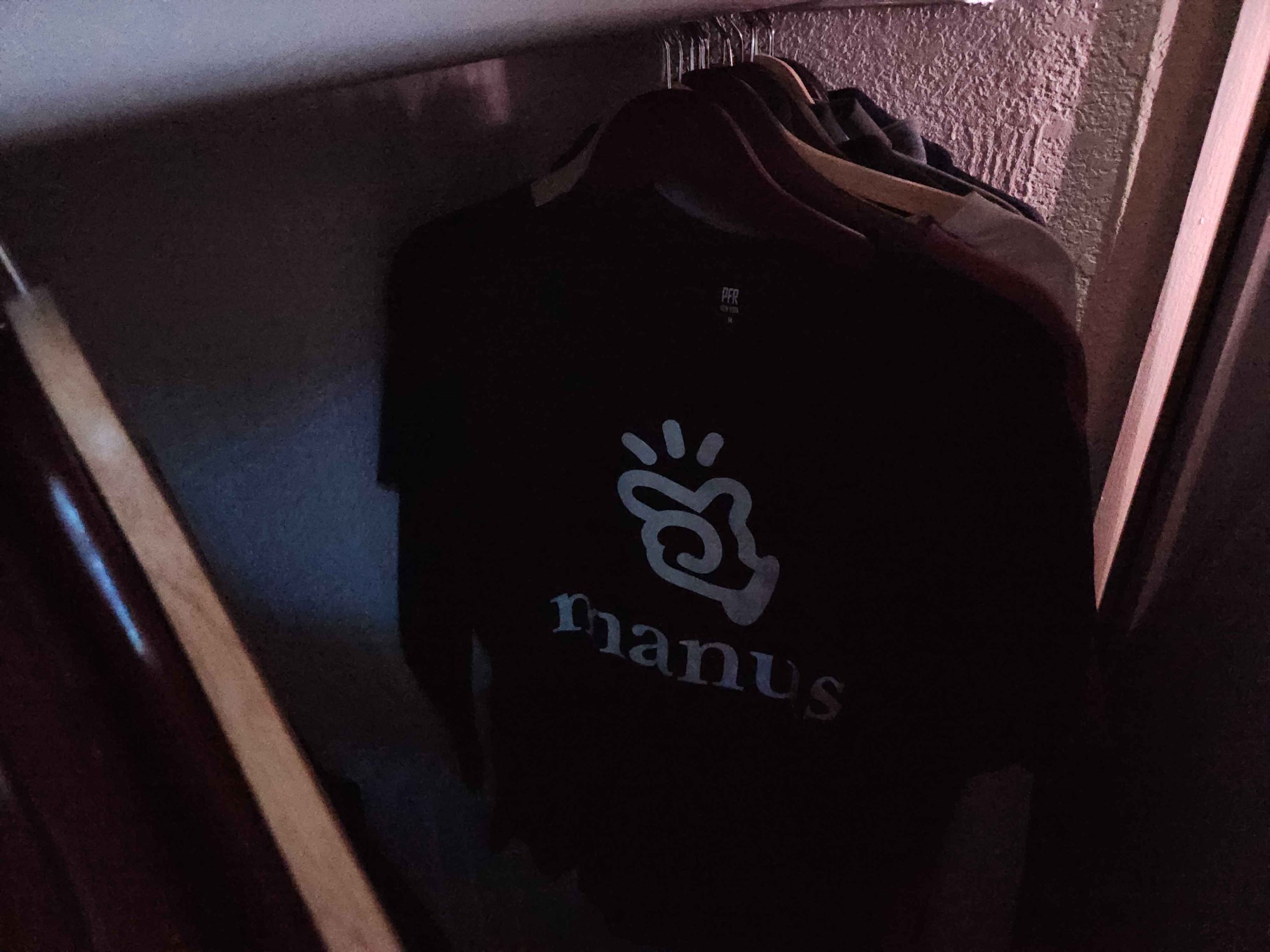 Manus AI Review: The Worst AI Agent I Have Ever Used 1 Manus shirt